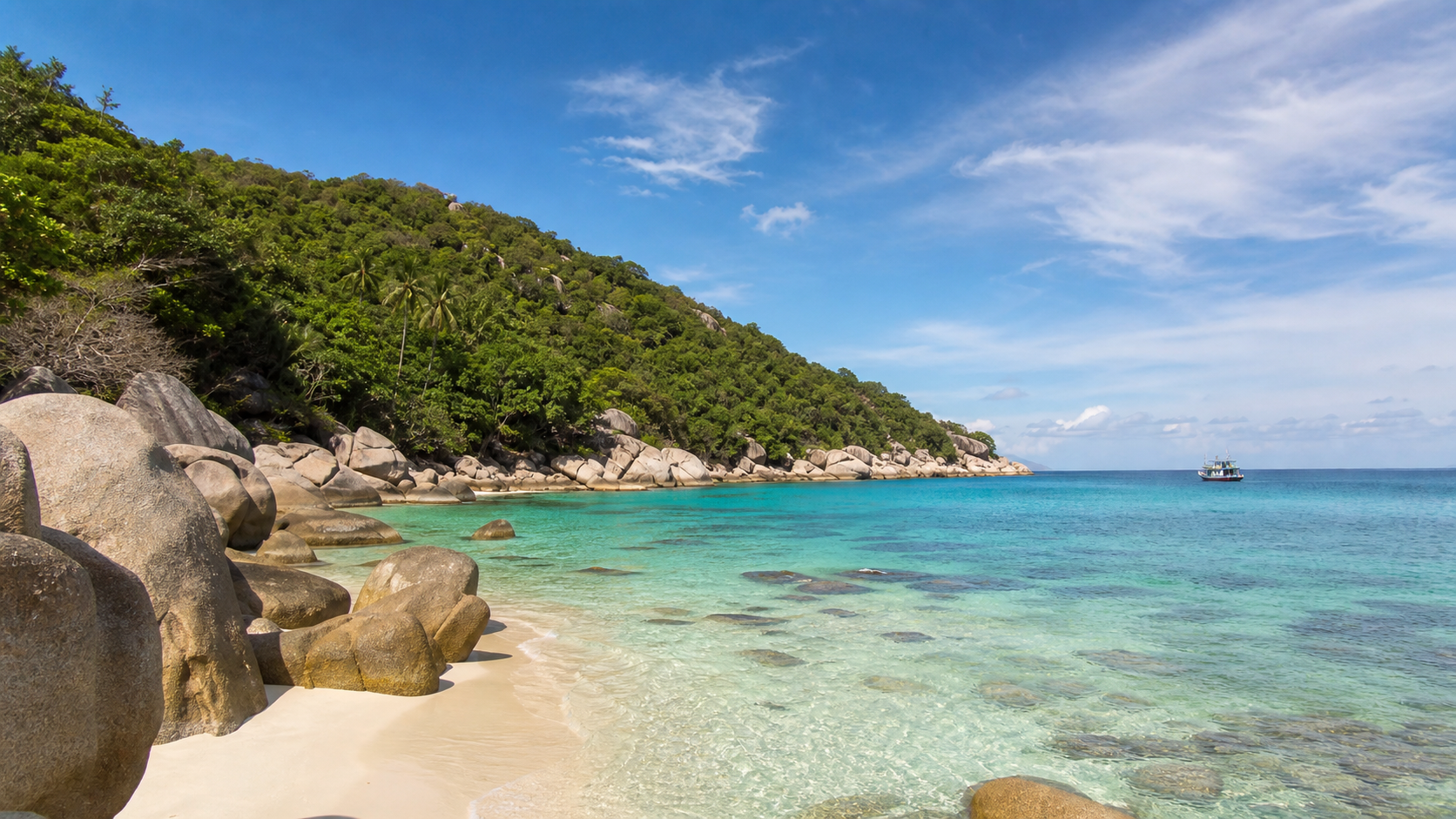 Koh Tao Snorkeling and Diving for Beginners: Best Bays, Seasons, Safety, and Where to Stay